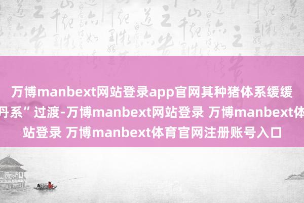 万博manbext网站登录app官网其种猪体系缓缓向高生息性能的“新丹系”过渡-万博manbext网站登录 万博manbext体育官网注册账号入口