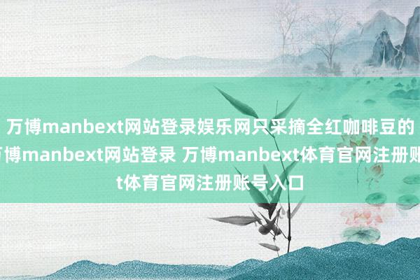 万博manbext网站登录娱乐网只采摘全红咖啡豆的熟果-万博manbext网站登录 万博manbext体育官网注册账号入口