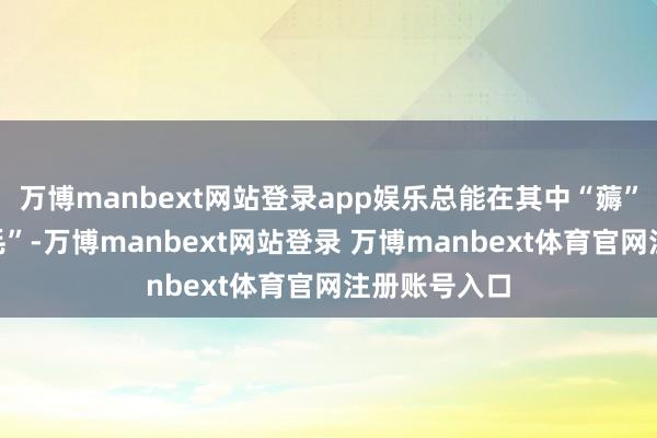 万博manbext网站登录app娱乐总能在其中“薅”到一些“羊毛”-万博manbext网站登录 万博manbext体育官网注册账号入口
